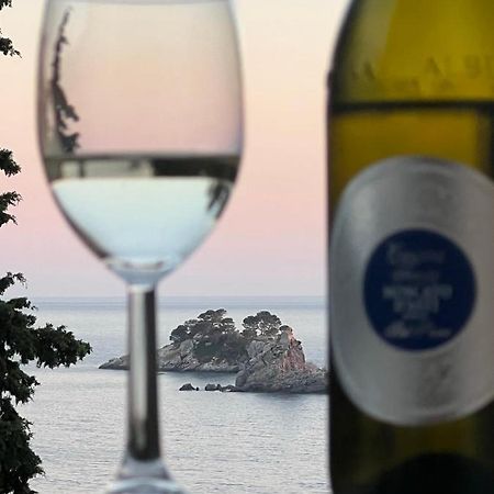 Seahaven Apartment Petrovac ภายนอก รูปภาพ