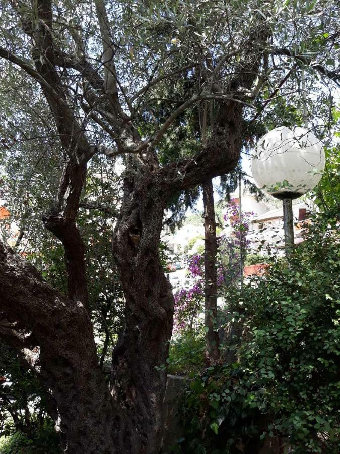 Seahaven Apartment Petrovac ภายนอก รูปภาพ